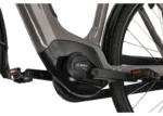 Rower elektryczny BATAVUS Altura E-Go Power Plus - obrazek 6