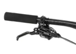Rower elektryczny R-RAYMON AirRay 12.0 X01 - obrazek 9