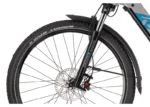 Rower elektryczny R-RAYMON CrossRay E 6.0 9S M350 - obrazek 5