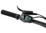 Rower elektryczny R-RAYMON Trailray 120 - obrazek 10