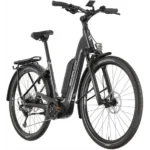 Rower elektryczny SIMPLON Chenoa 365 :E